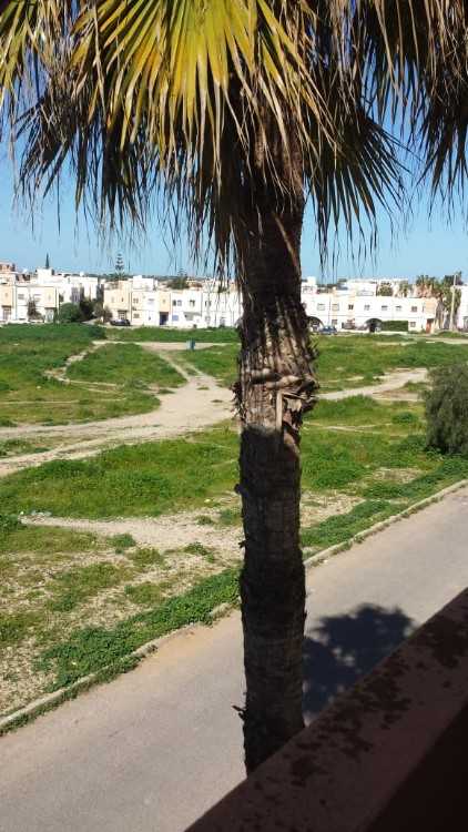 Appartement 52 m à Ghazoua-Essaouira