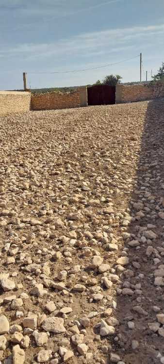Terrain titré à vendre – 2 700 m² à Essaouira